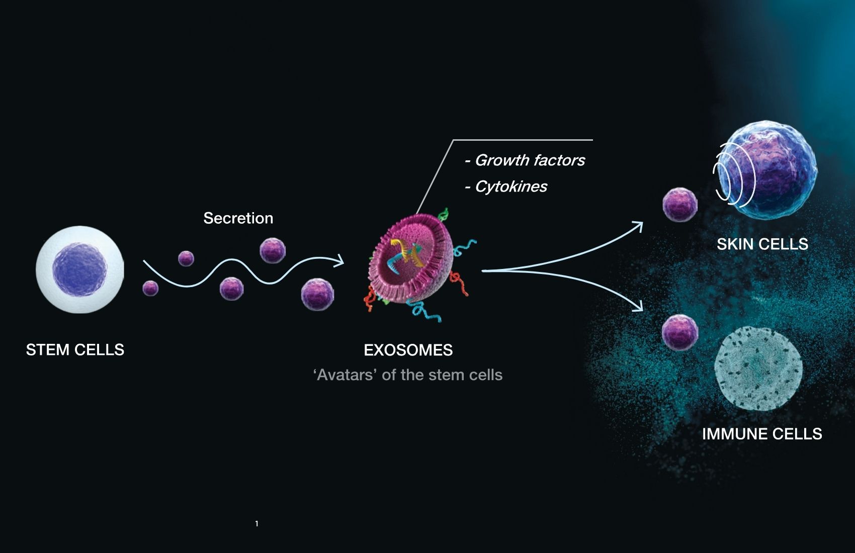 Exosomes Treatment Available Avon CT